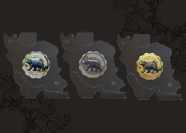 پک کلکسیونی خرس سیاه بلوچی