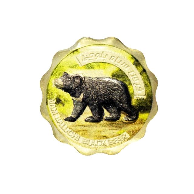 پک کلکسیونی خرس سیاه بلوچی