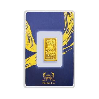 طرح سرمایه گذاری پرنیا 250 سوتی